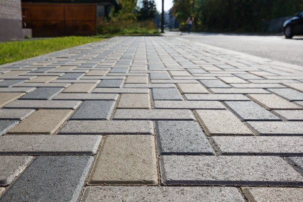 Best Residential Paver Driveway  in Hawley, MN
