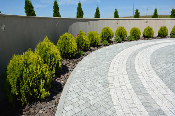 Best Commercial Driveway Pavers  in Hawley, MN